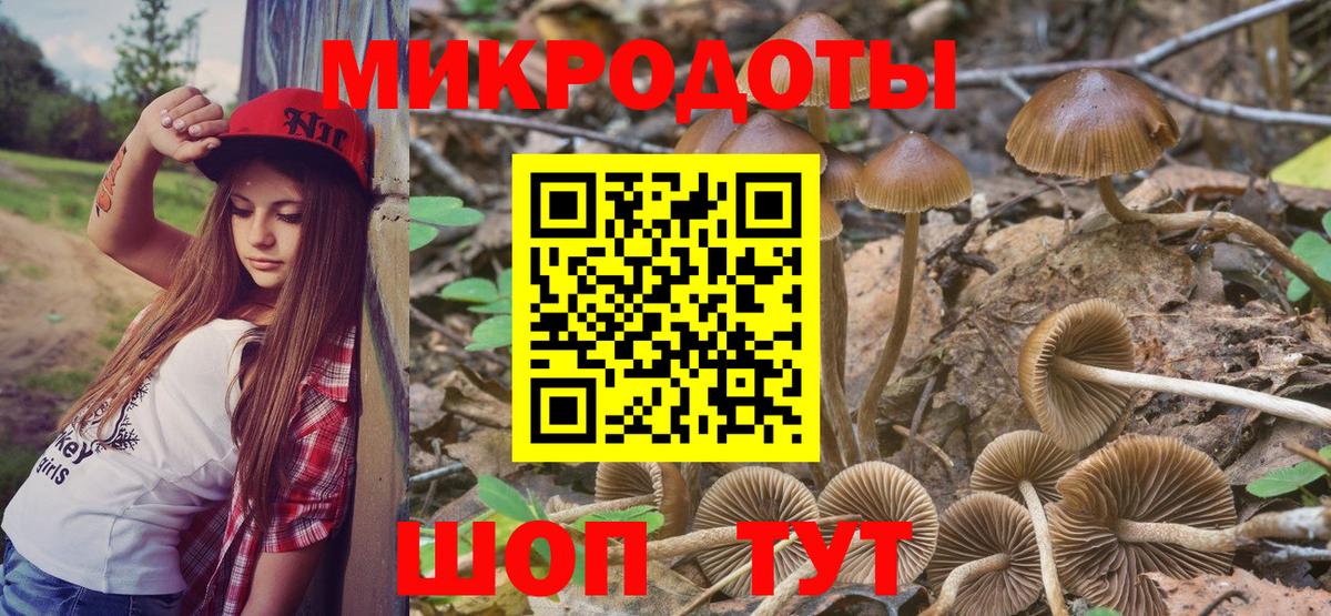 Галлюциногенные грибы Psilocybine cubensis  Вход с VPN  где купить наркотик  Хабаровск  Псилоцибиновые грибы ЛСД 