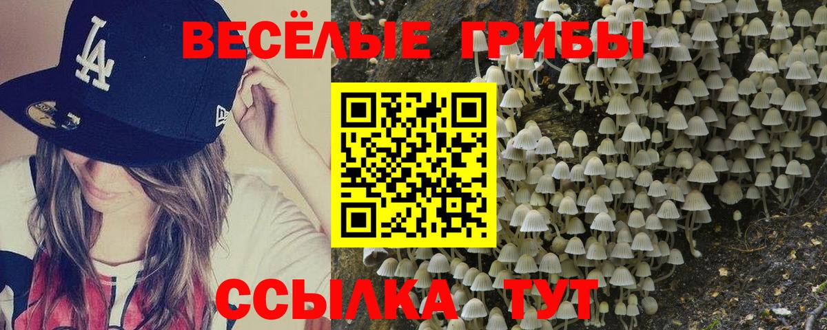 Псилоцибиновые грибы ЛСД Хабаровск